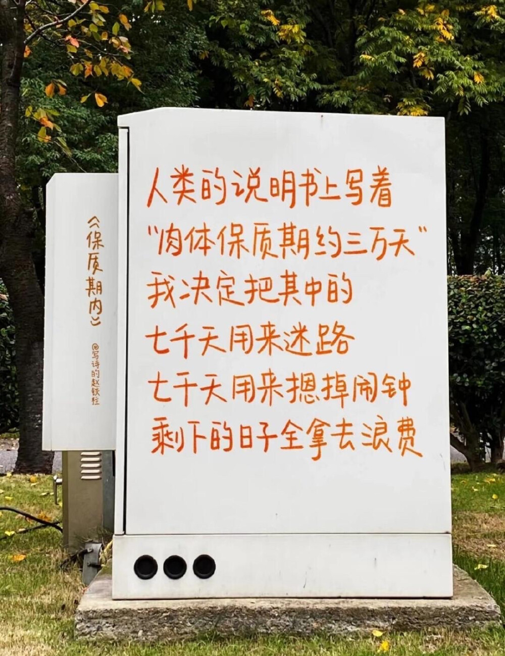 文字