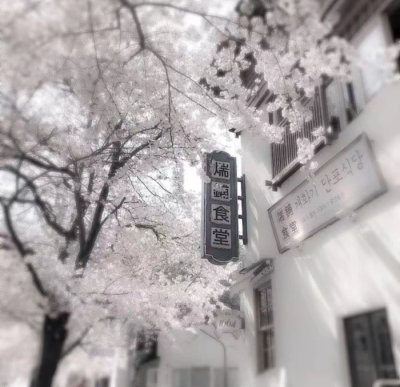 
One Fine Spring Day^《春逝》、若我会见到你