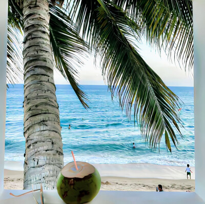 初夏的海风与花漾时光