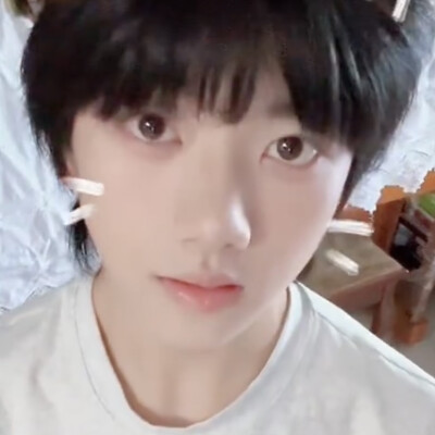 瑞咪与国咪
