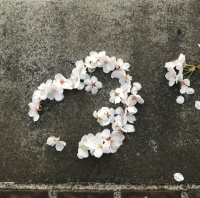 花朵背景图