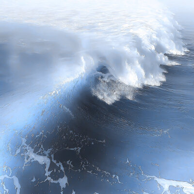 觉得你好 其他视为杂草