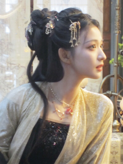 成何体统 庾晚音