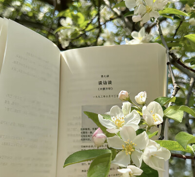 绿色