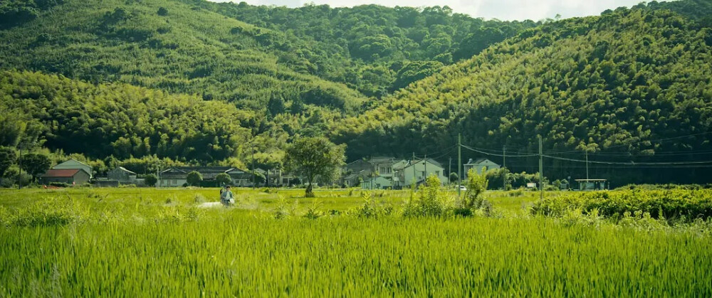 云边有个小卖部