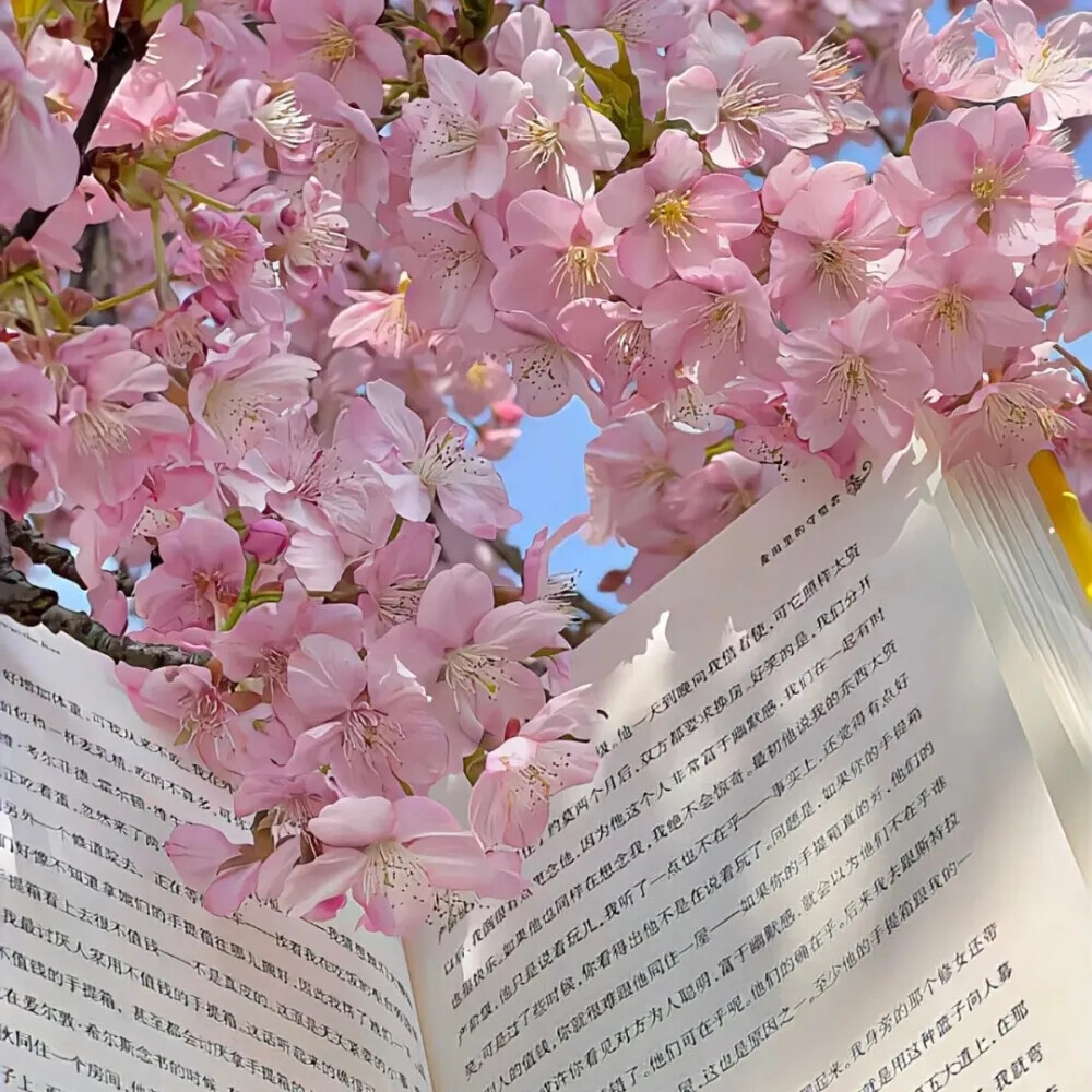 小清新背景图