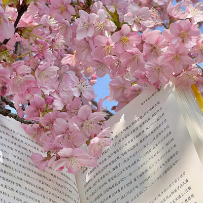 小清新背景图