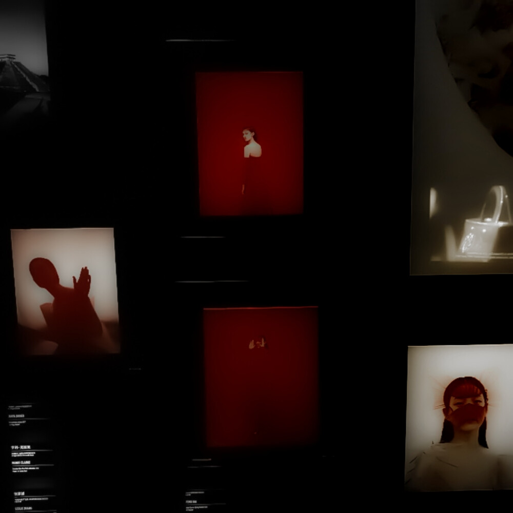 我见鱼市星宿 暗哑行于秋