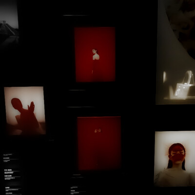 我见鱼市星宿 暗哑行于秋