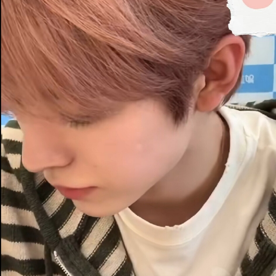 像狗