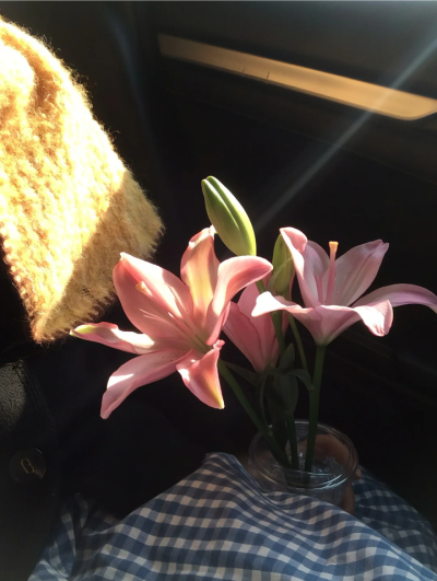 百合花背景图