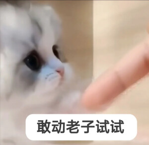 眼鏡娘の視線ᗜωᗜ