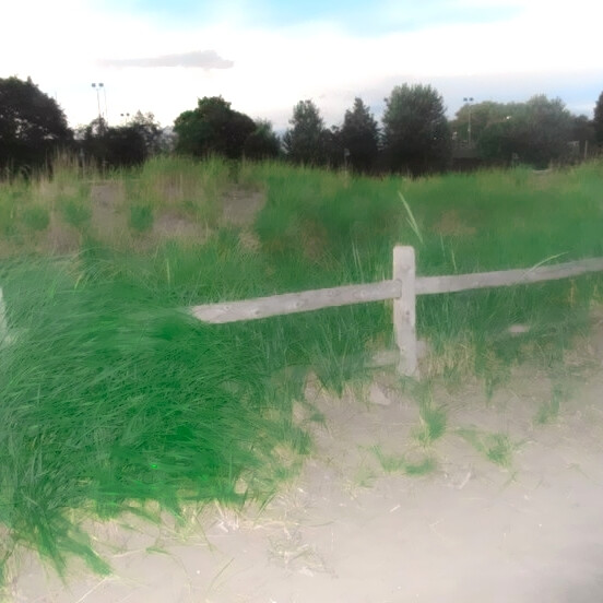 你的眼是无尽春与朦胧雾