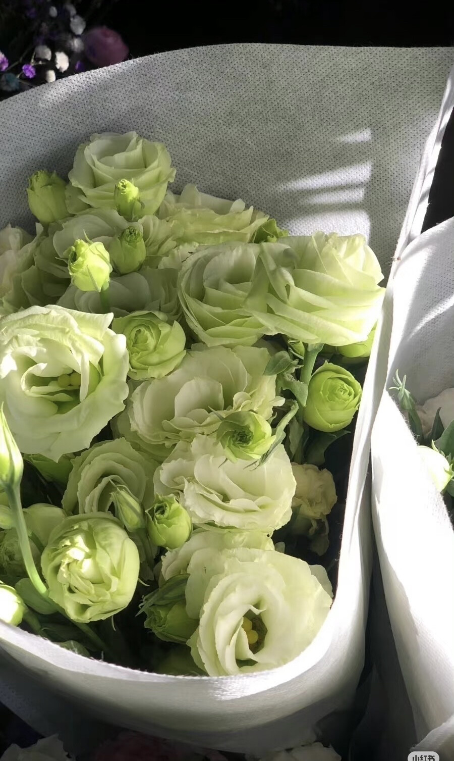 绿色 封面 背景图