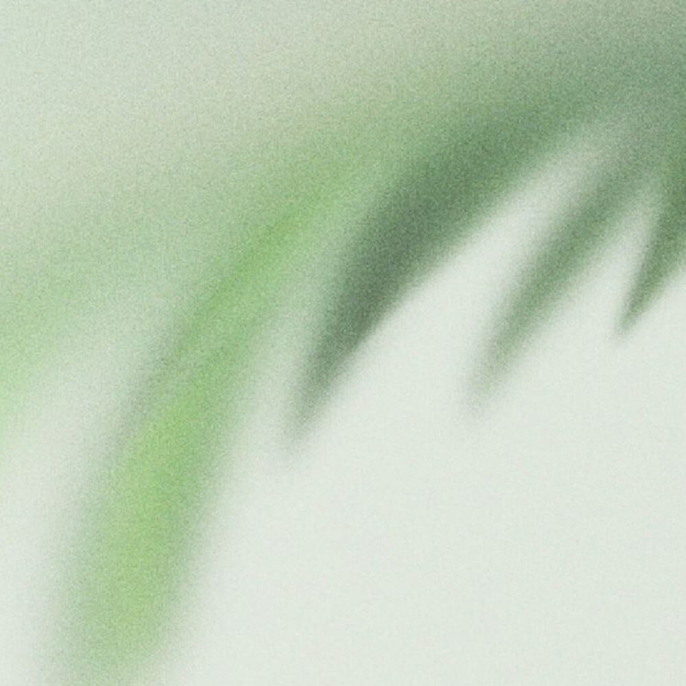 绿色 封面 背景图