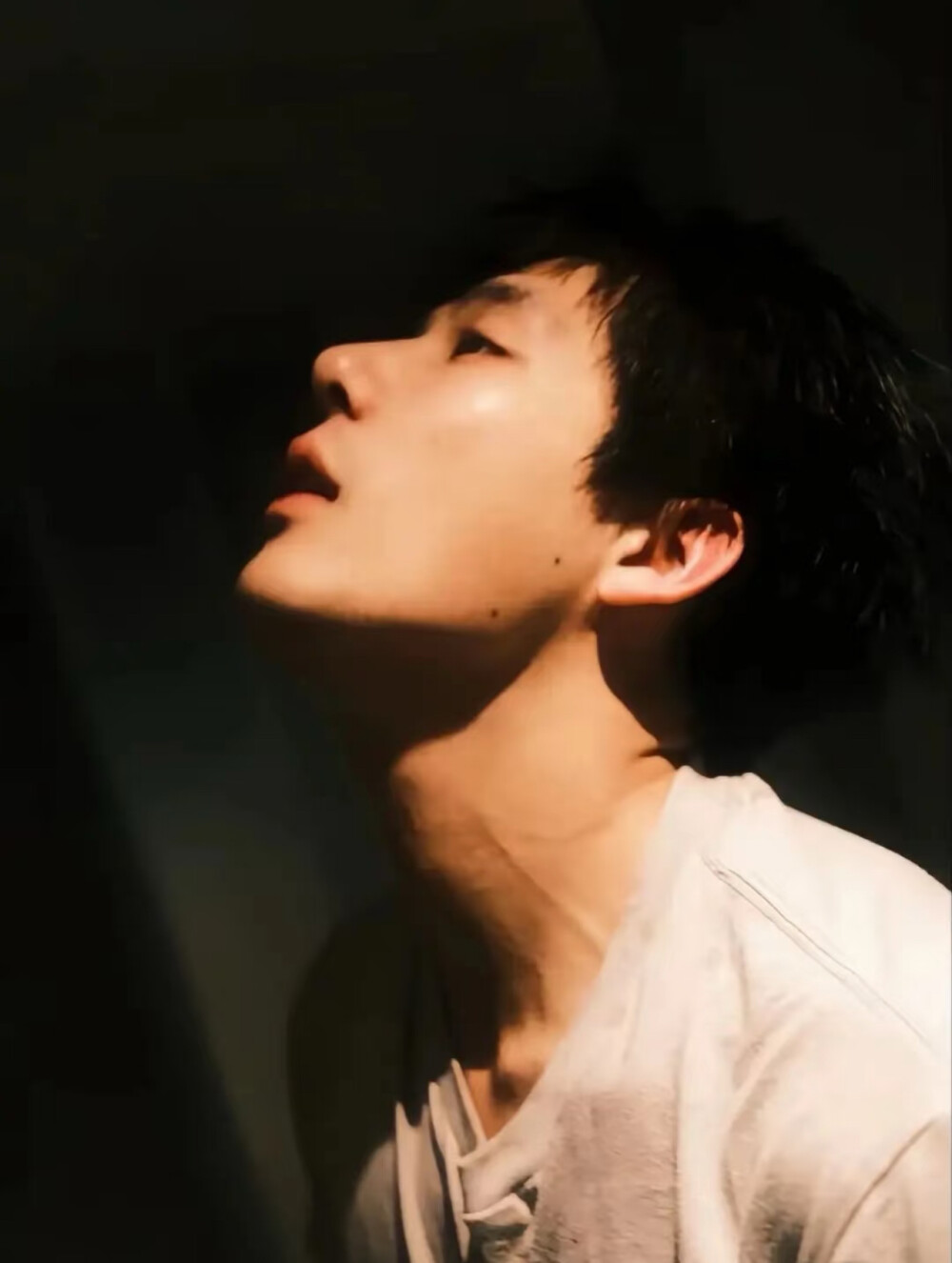 王安宇