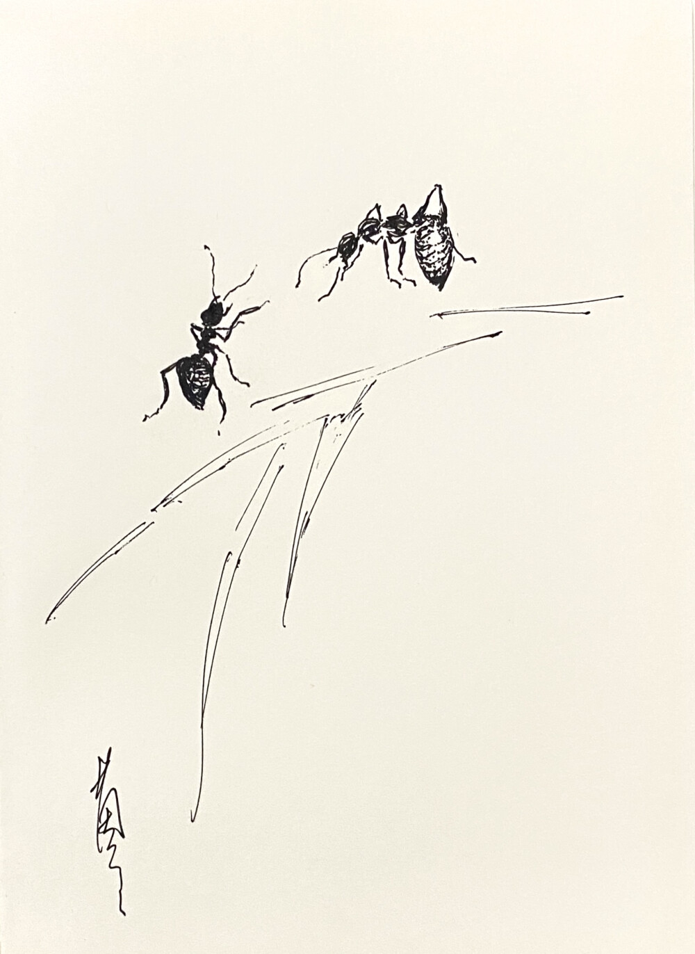 《针管笔点绘》