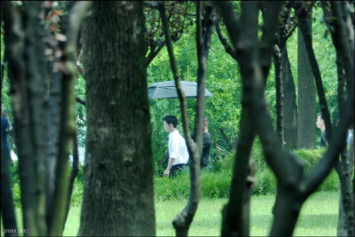 杨洋