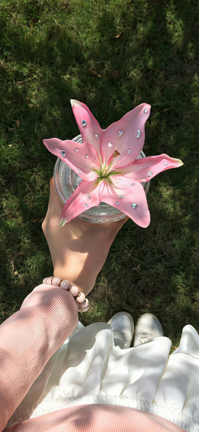 壁纸
