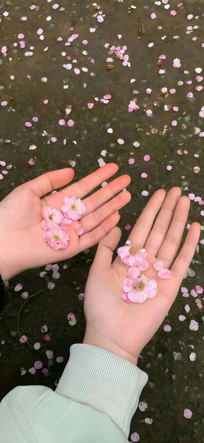 侵删