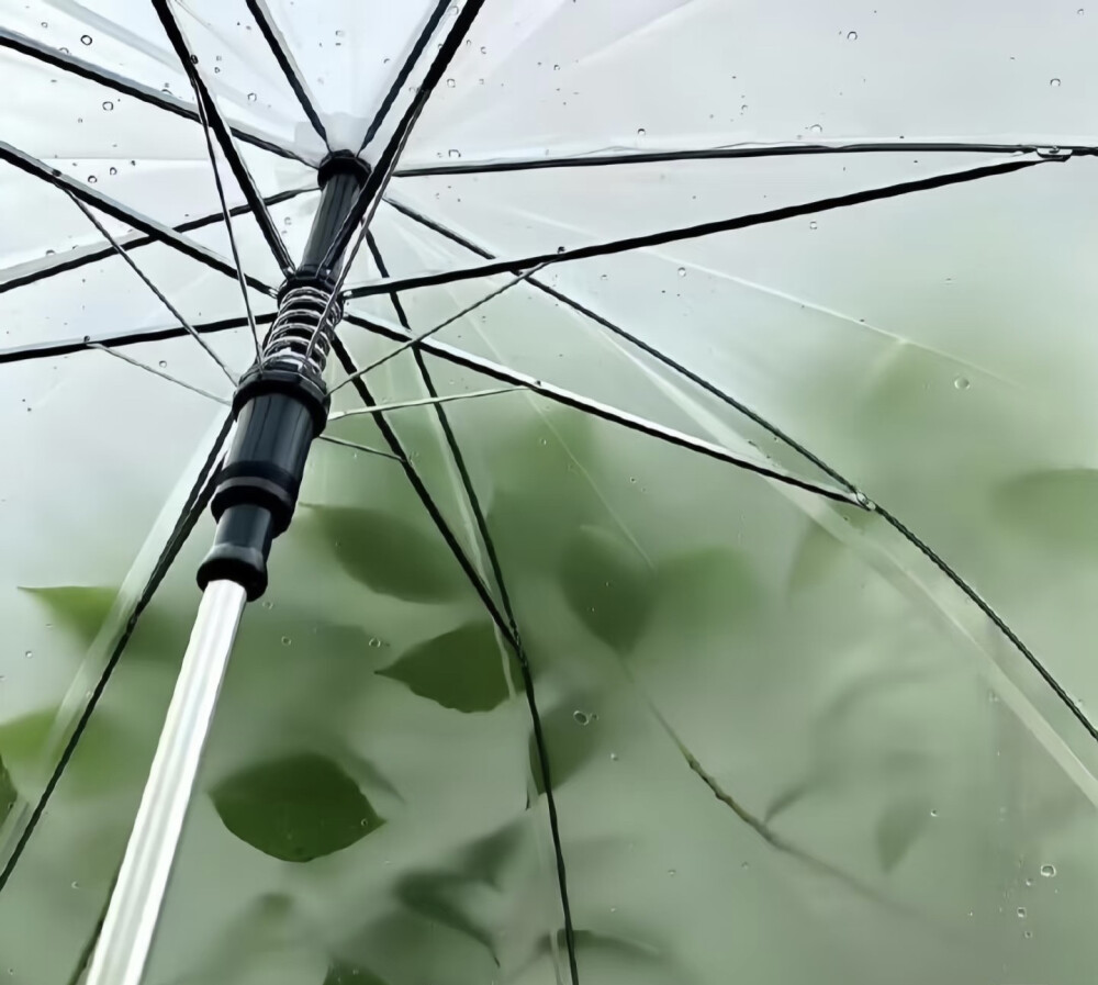 绿色 封面 背景图