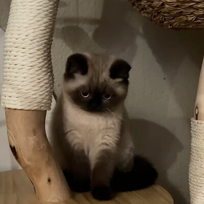 合集