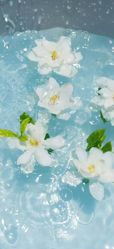 手机壁纸