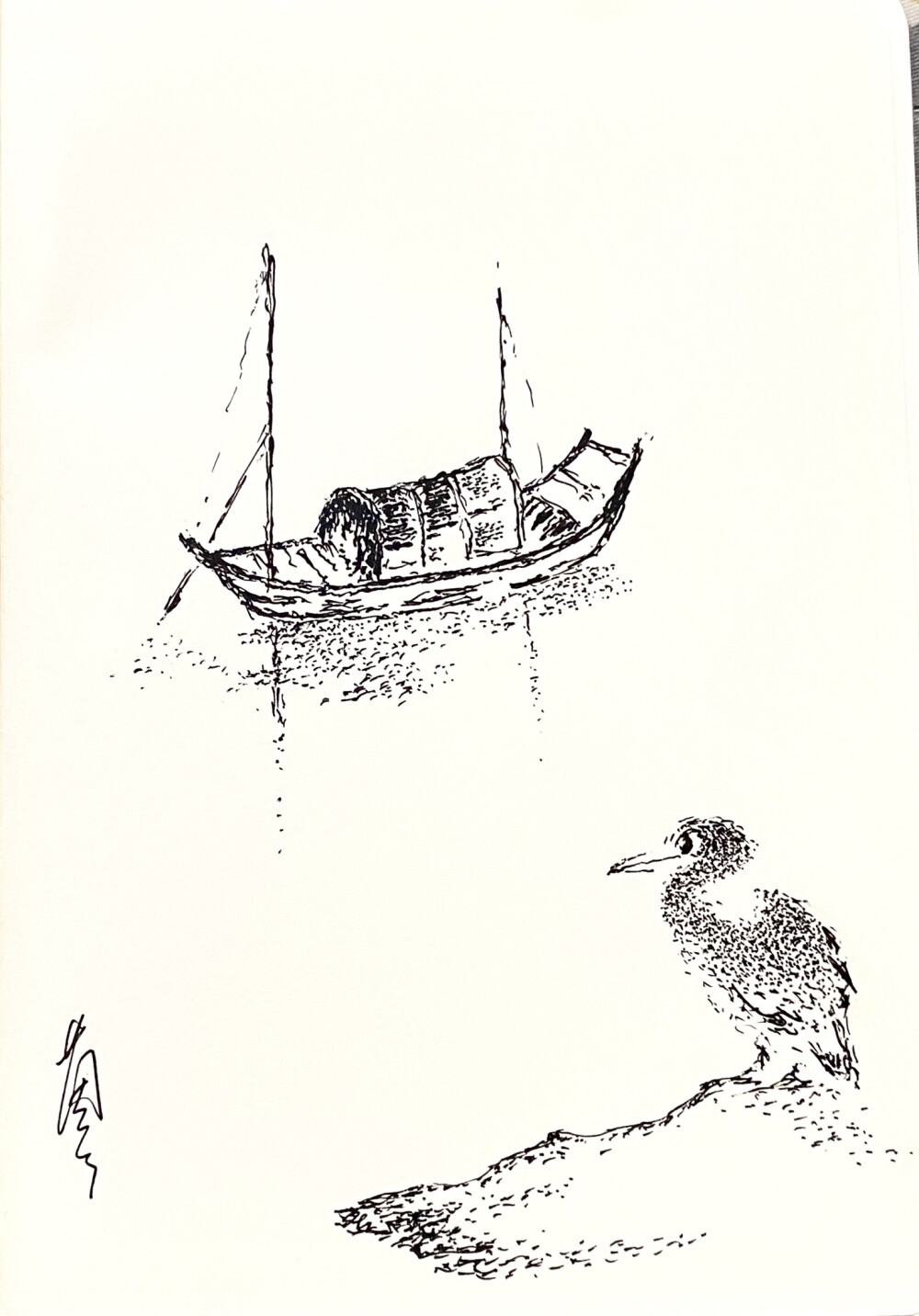 《针管笔点绘》