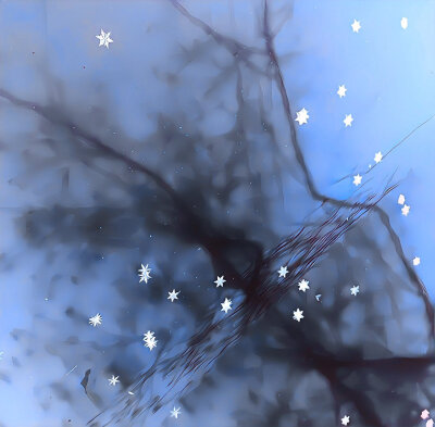 觉得你好 其他视为杂草