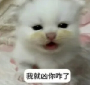 眼鏡娘の視線ᗜωᗜ