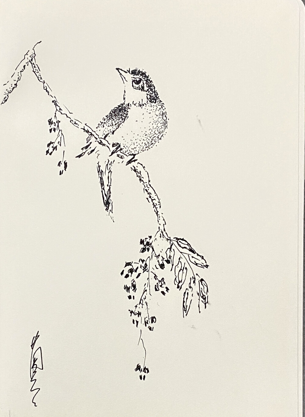 《针管笔点绘》