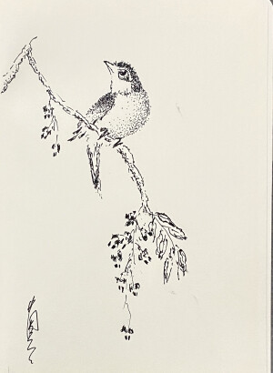 《针管笔点绘》