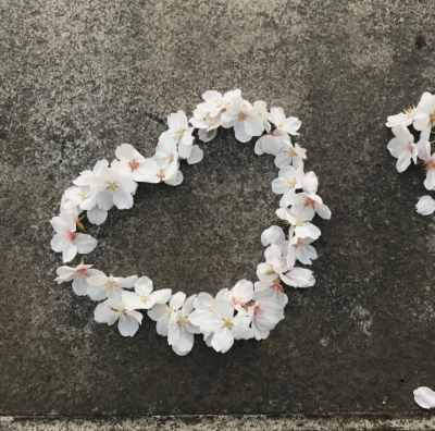 花朵背景图