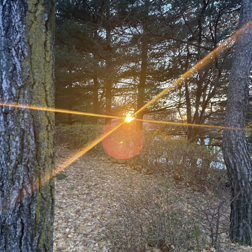 男生头像
第57次取消发送