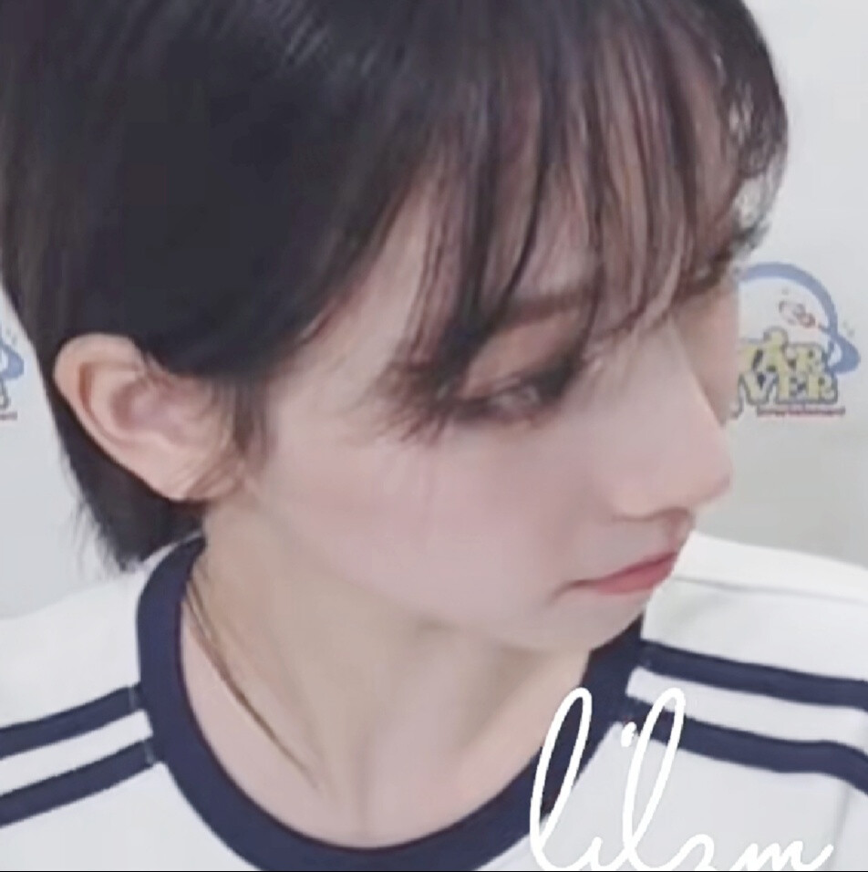 天使猪