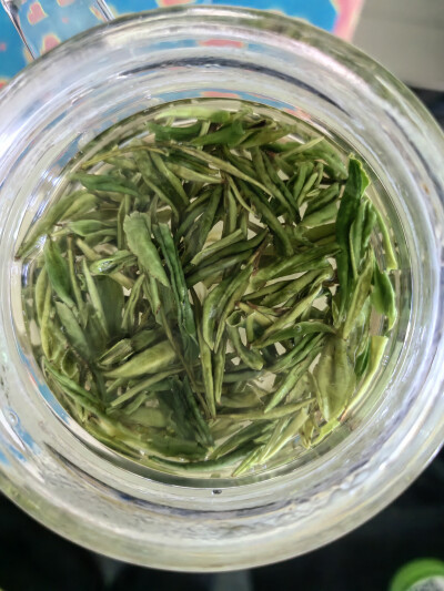 高山野茶，好喝2025/4/26