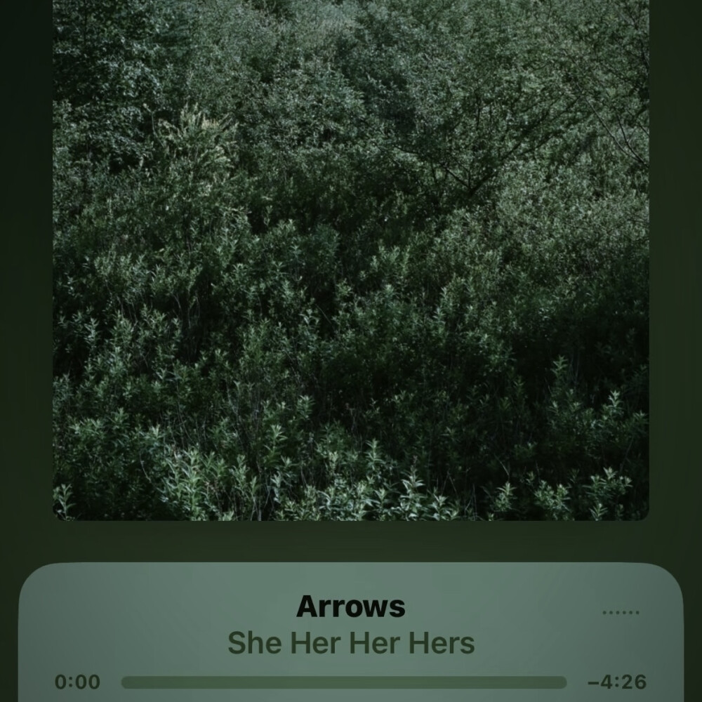 杨超越
有些许冰得刺骨的雾气没过我的鼻腔，久久不落水的柏林，那一天却在你的眼底下着一场不息的大雨.