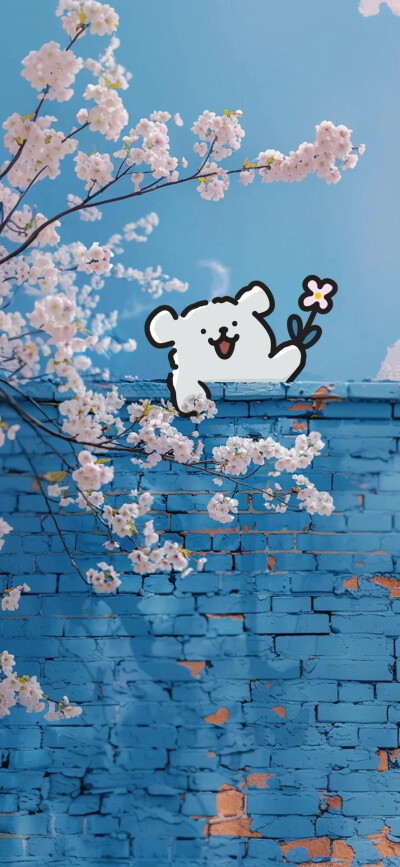杨洋