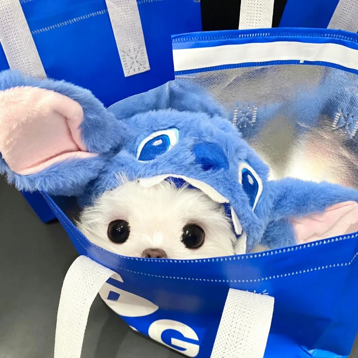 最好的时光在路上，一路向阳。