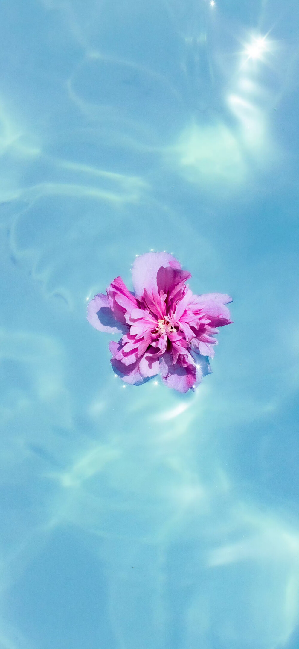 花壁纸