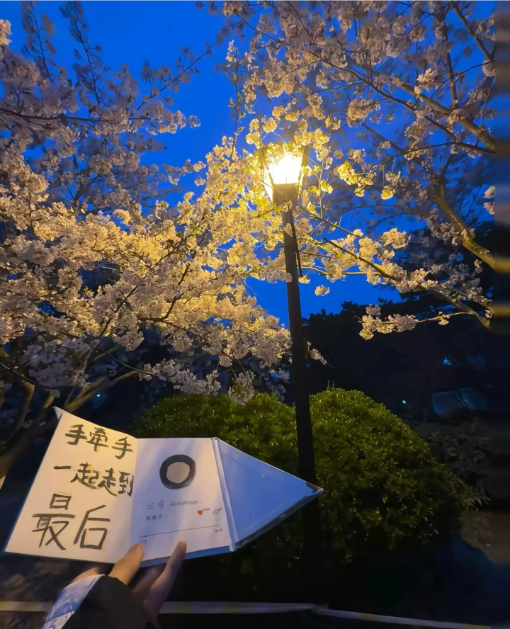 蓝调背景图