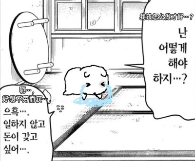 收单收专