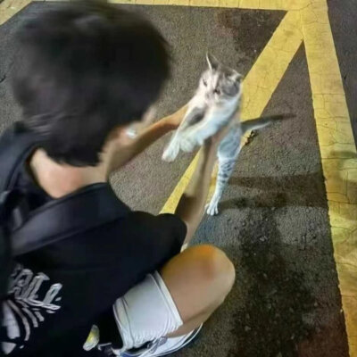 男头
