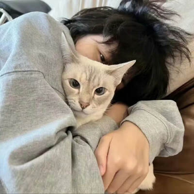 男头