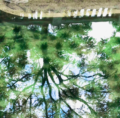 初夏