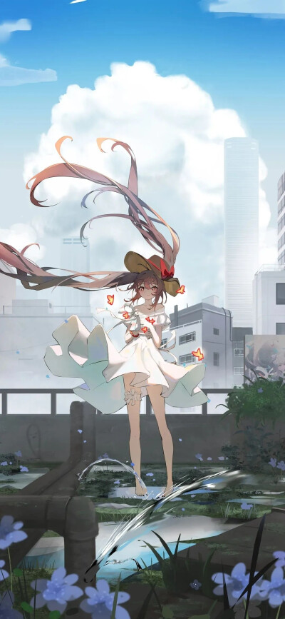 胡桃