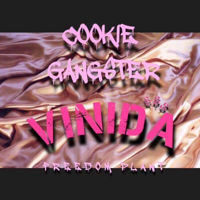 Vinida