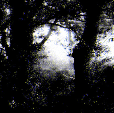 上课无聊才发现我还有个号