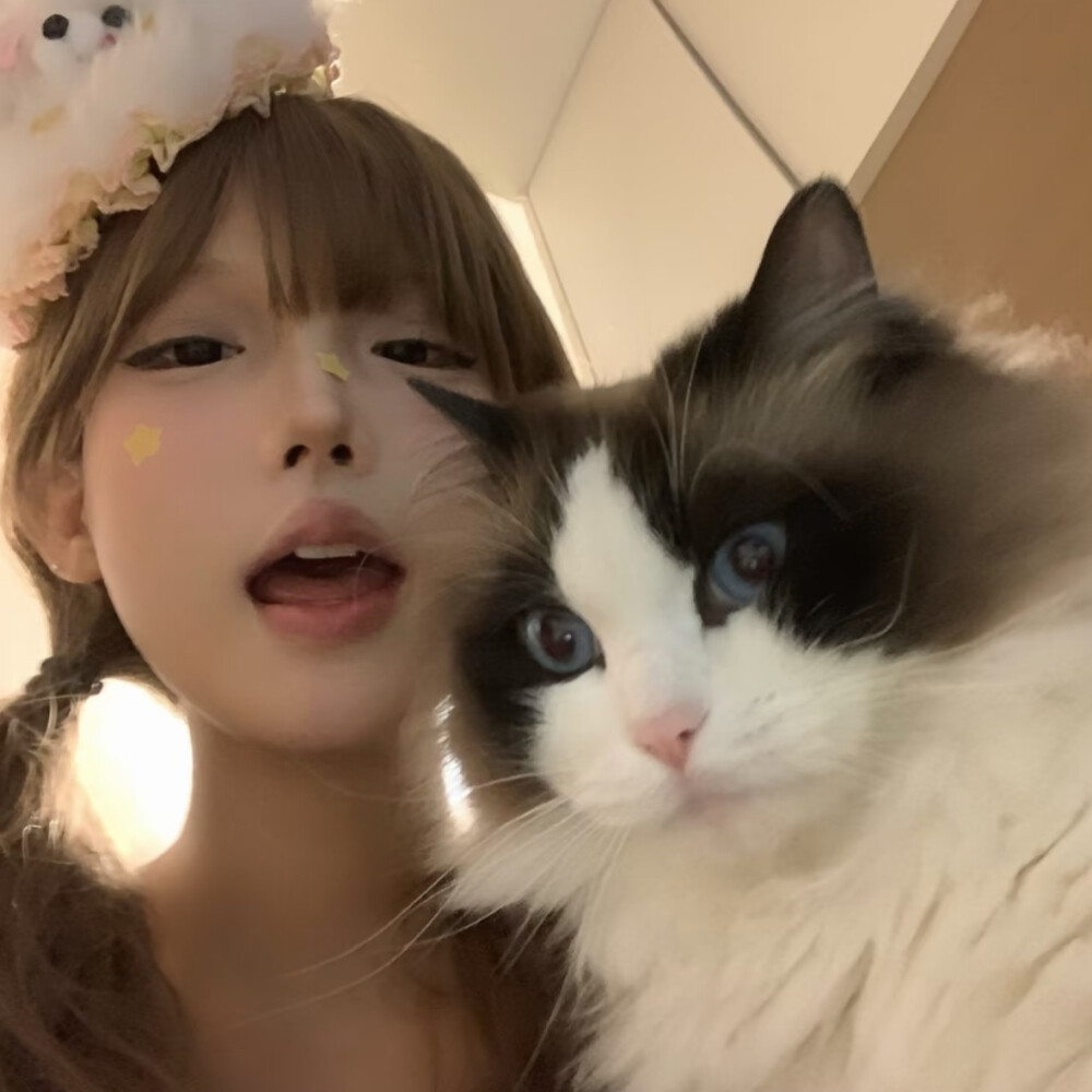 二传注明摇滚羊