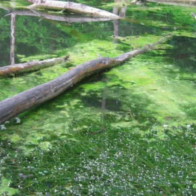 如果碰不到双唇 那你的笑容就是我的吻痕 